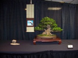 Annual Show 2011 - 3 2011